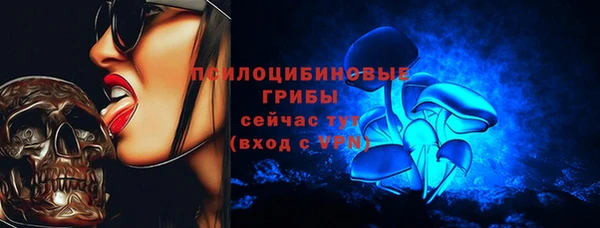 метадон Бородино