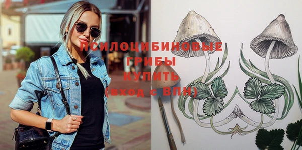 бошки Рославль