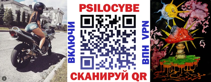 Псилоцибиновые грибы Psilocybe  Абакан 